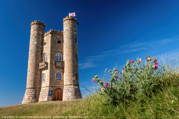 Broadway Tower, Worcestershire Picture Board by David Macdiarmid