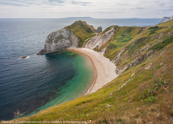 Man o' War Cove, Dorset Picture Board by David Macdiarmid