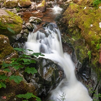 Buy canvas prints of Aira Force Waterfall by David Macdiarmid