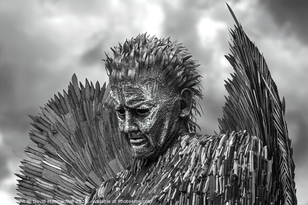 The Knife Angel - National Monument Against Violen Picture Board by David Macdiarmid