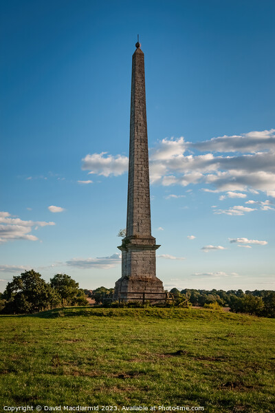 Umberslade Obelisk Picture Board by David Macdiarmid