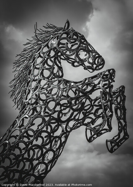 Horse Sculpture Picture Board by David Macdiarmid