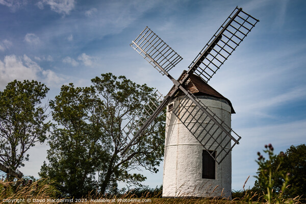 Ashton Windmill, Somerset Picture Board by David Macdiarmid