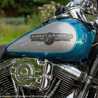 Buy canvas prints of Harley Davidson by David Macdiarmid