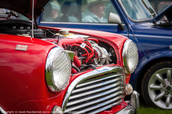 Classic Mini Coopers Picture Board by David Macdiarmid