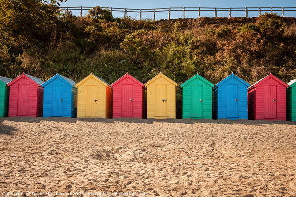 Colourful beach huts at Llanbedrog Beach Picture Board by David Macdiarmid