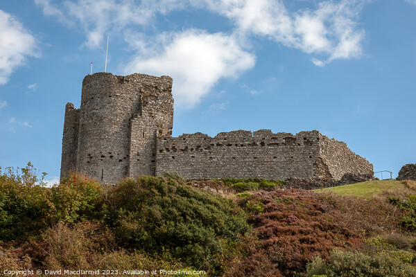 Criccieth Castle Picture Board by David Macdiarmid