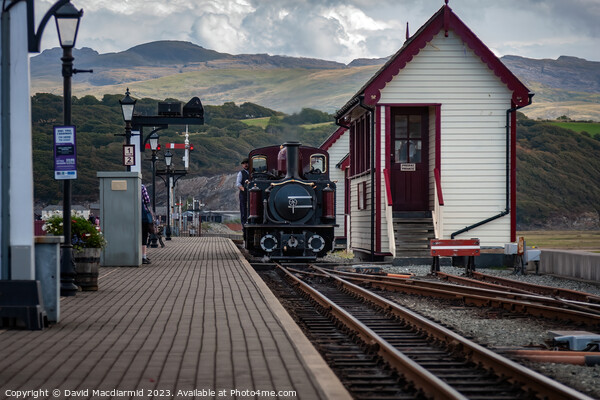 Ffestiniog & Welsh Highland Railway, Porthmadog  Picture Board by David Macdiarmid