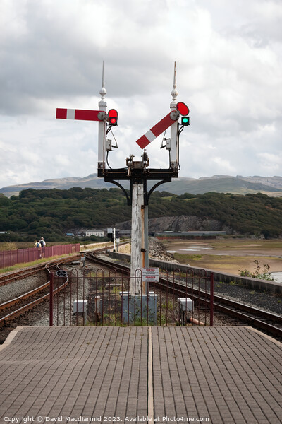 Ffestiniog & Welsh Highland Railway, Porthmadog Picture Board by David Macdiarmid