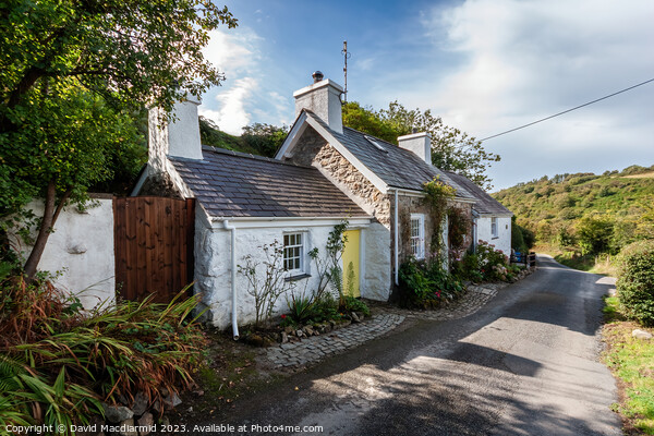 Welsh Cottage, Llanbedrog Picture Board by David Macdiarmid