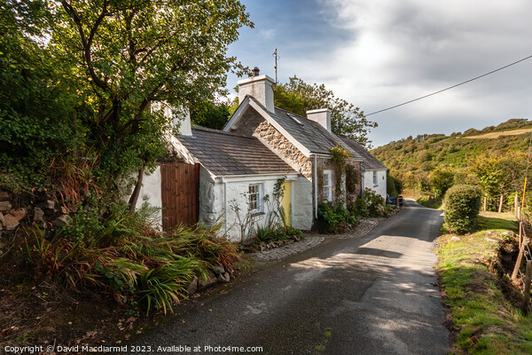 Welsh Cottage, Llanbedrog Picture Board by David Macdiarmid