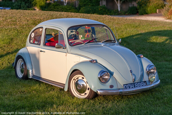 The Iconic VW Beetle Picture Board by David Macdiarmid
