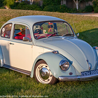 Buy canvas prints of The Iconic VW Beetle by David Macdiarmid