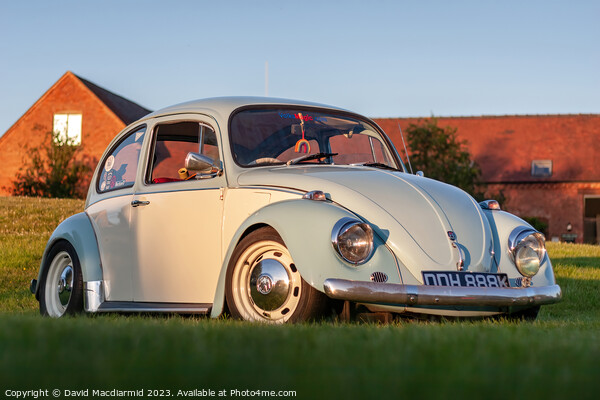 The Iconic VW Beetle Picture Board by David Macdiarmid