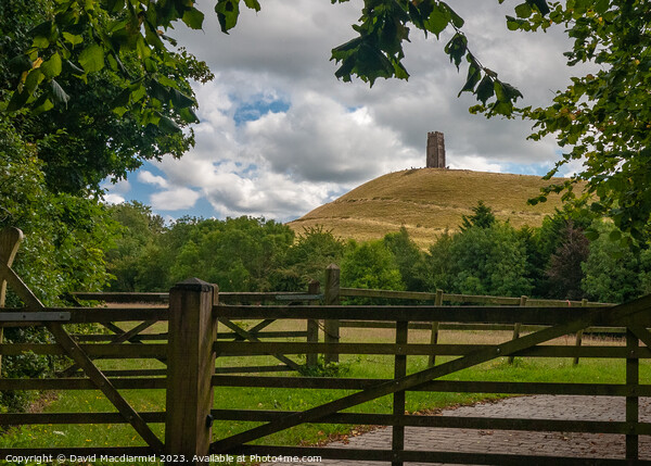 Glastonbury Tor & St Michael's Tower Picture Board by David Macdiarmid