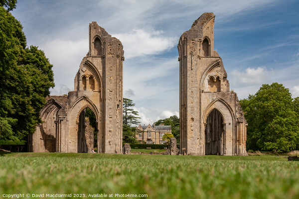 The Ruins of Glastonbury Abbey Picture Board by David Macdiarmid