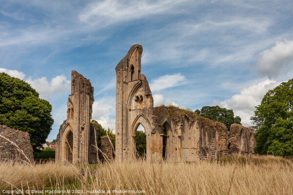 The spectacular ruins of Glastonbury Abbey Picture Board by David Macdiarmid