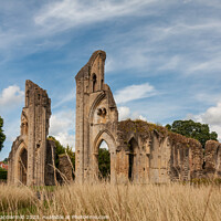 Buy canvas prints of The spectacular ruins of Glastonbury Abbey by David Macdiarmid