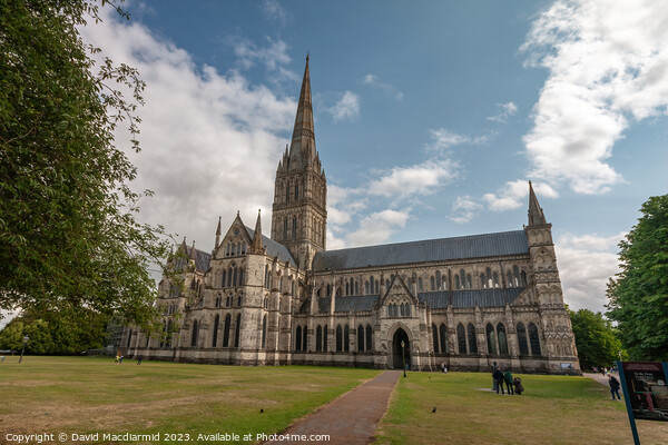 Salisbury Cathedral Picture Board by David Macdiarmid