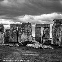 Buy canvas prints of Stonehenge Black & White Panorama by David Macdiarmid