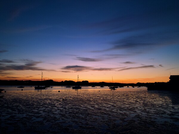 Topsham estuary sunset Picture Board by Charles Powell
