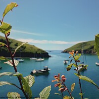 Buy canvas prints of Solva harbour Pembrokeshire by Charles Powell