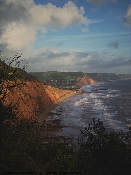 View towards Sidmouth Picture Board by Charles Powell