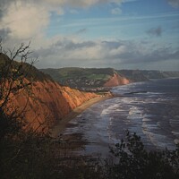 Buy canvas prints of View towards Sidmouth by Charles Powell