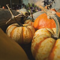 Buy canvas prints of Gourds and pumpkins  by Charles Powell