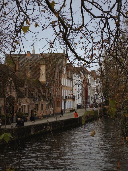 Bruges canals Picture Board by Charles Powell