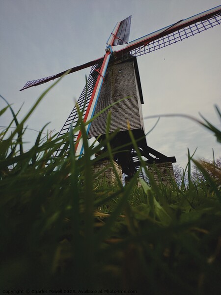 Bruges windmill Picture Board by Charles Powell