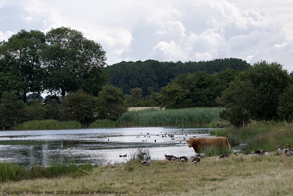 Outdoor English countryside scene  Picture Board by Helen Reid