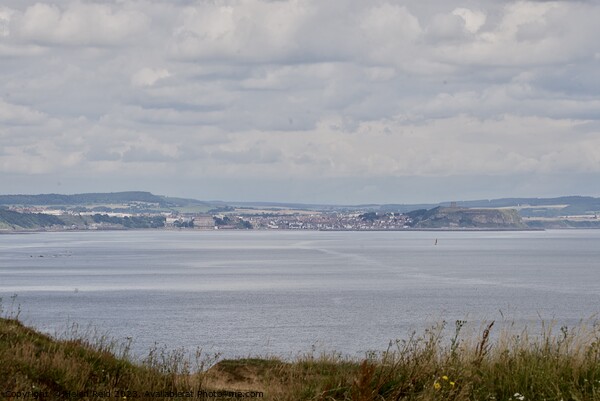 View of Scarborough from Filey Bay Picture Board by Helen Reid