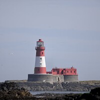 Buy canvas prints of Lighthouse Building  by Helen Reid