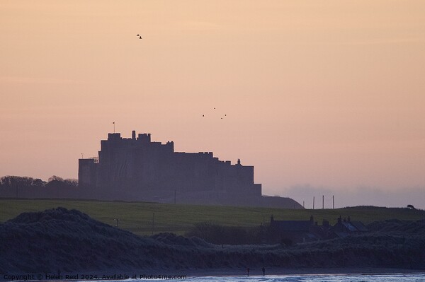 Bamburgh Castle at sunset  Picture Board by Helen Reid