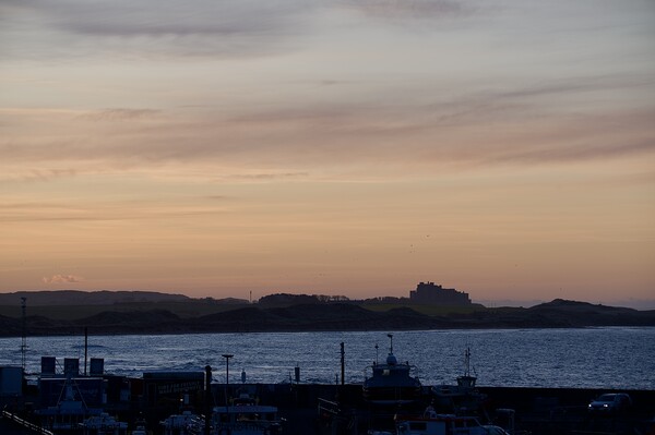 Sunset at Seahouses harbour bamburgh castle in the distance Picture Board by Helen Reid