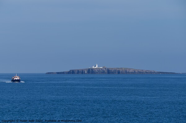 Northhumberland Farne lighthouse with a passenger boat Picture Board by Helen Reid