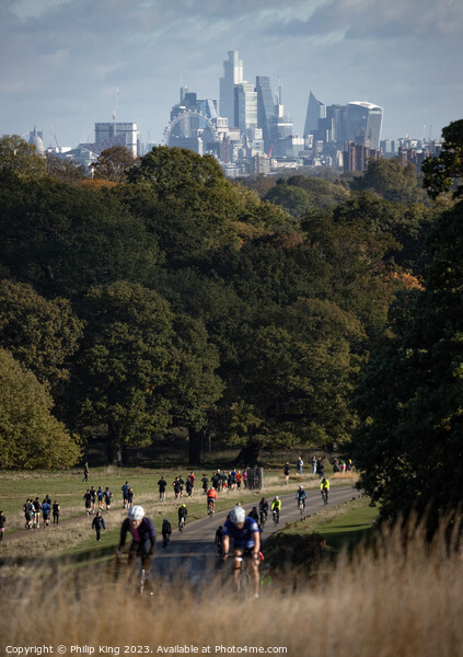 London Skyline from Richmond Park Picture Board by Philip King