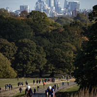 Buy canvas prints of London Skyline from Richmond Park by Philip King