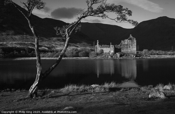 Kilchurn Castle - Loch Awe Picture Board by Philip King