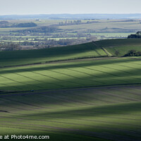 Buy canvas prints of Vale of Pewsey by Philip King