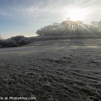 Buy canvas prints of Wittenham Clumps in Winter by Philip King