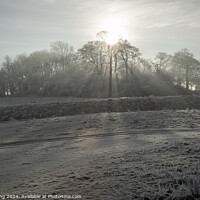 Buy canvas prints of Winter at Wittenham Clumps by Philip King