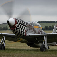 Buy canvas prints of P-51 Mustang - Duxford Airshow by Philip King