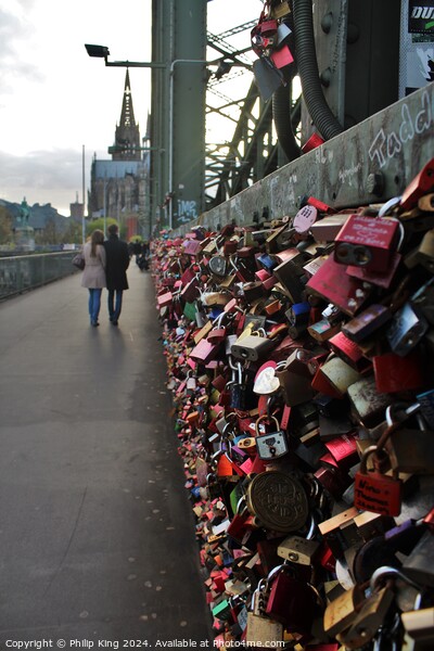 Padlocks in Cologne Picture Board by Philip King