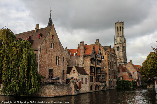 Bruges, Belgium Picture Board by Philip King