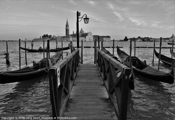 Venice Gondolas Picture Board by Philip King