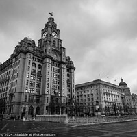 Buy canvas prints of The Three Graces, Liverpool by Philip King