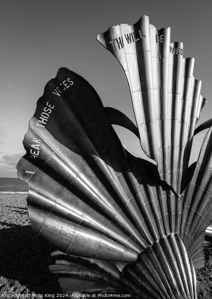 Scallop at Aldeburgh, Suffolk Picture Board by Philip King