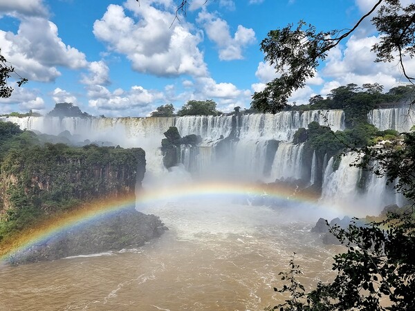 Iguazu Falls Picture Board by Chris Billingham